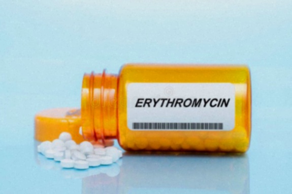 erythromycin